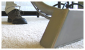 carpet steam cleaning