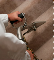 carpet cleaning